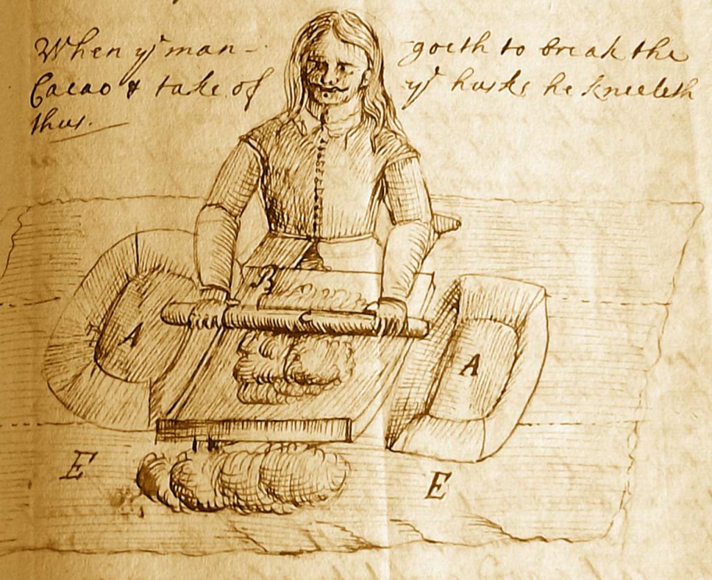 This image from the Journal of the first Earl of Sandwich shows a cacao-grinder at work (Kate Loveman / Journal of Social History).