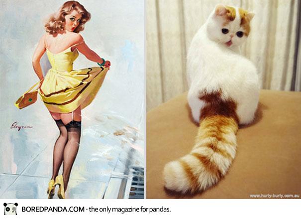 140208 cats pin up girls