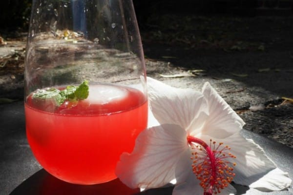 Hibiscus kombucha and gin