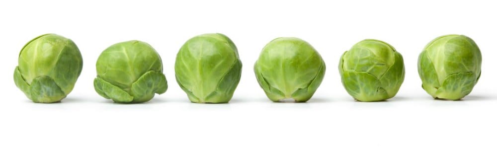 brussels sprouts are fucking awesome and you should eat some - Champagne Cartel