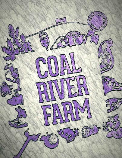 Coal River Farm, Hobart - Champagne Cartel