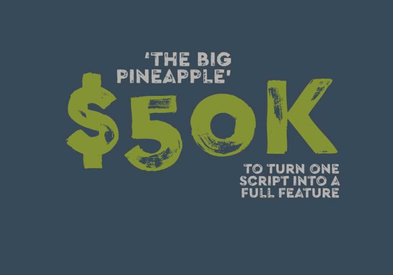 Big Pineapple Film Competition